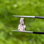 TOURMALINE 2.5 carats in peachy pink
