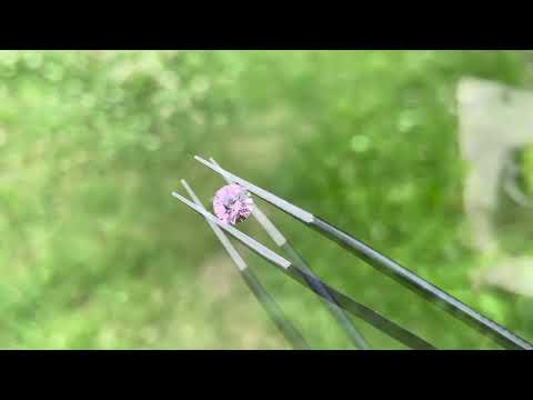 Pink Tourmaline 0.7cts