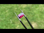 Garnet Umbalite 6ct.